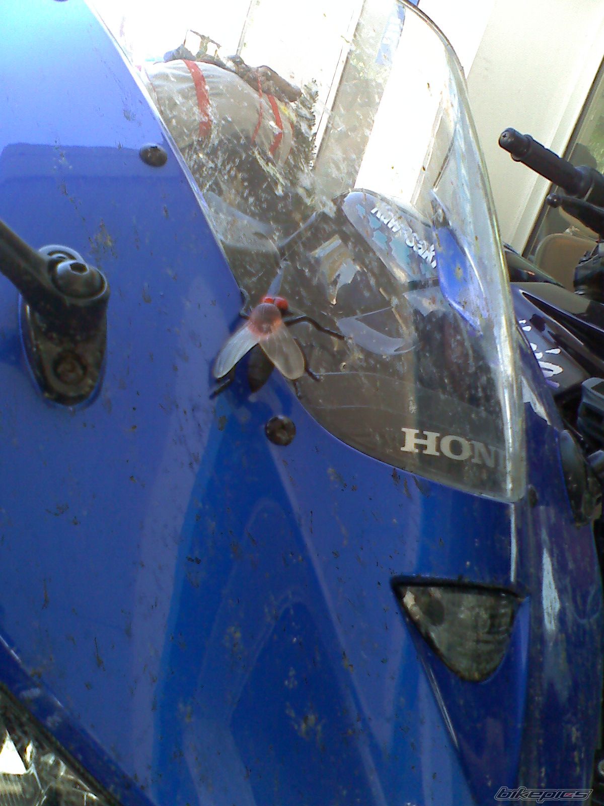 Bike Photo 1523486