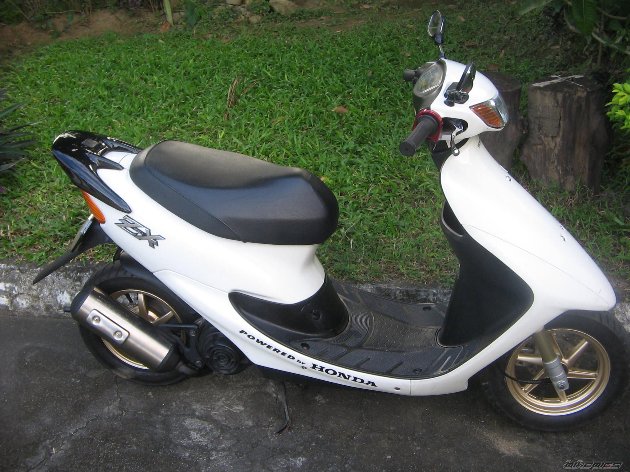 Photo 1523634