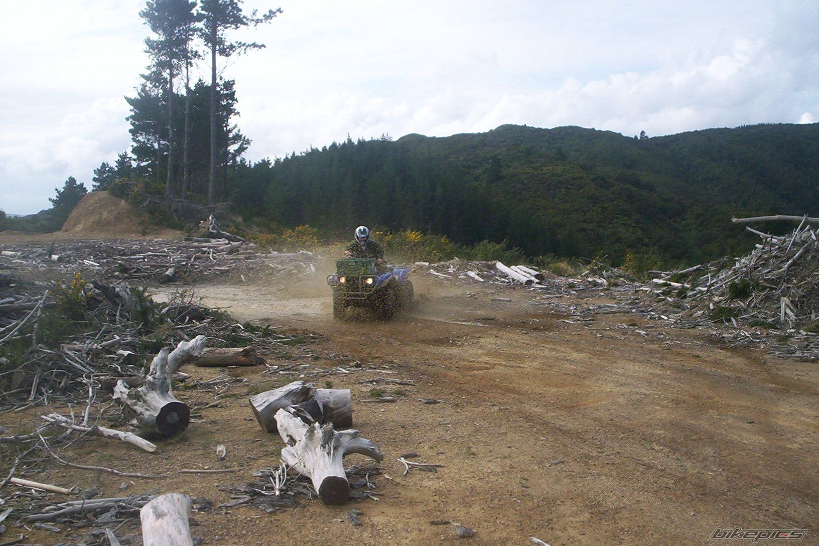 Photo 1523637