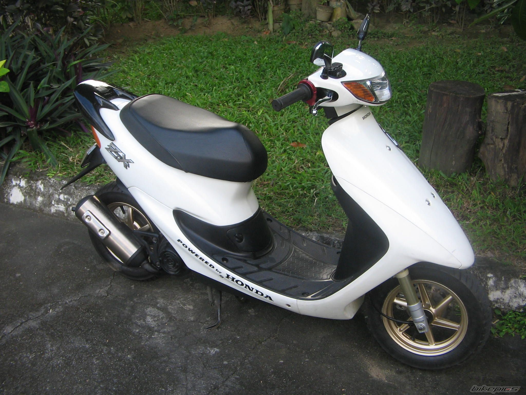 Photo 1523638