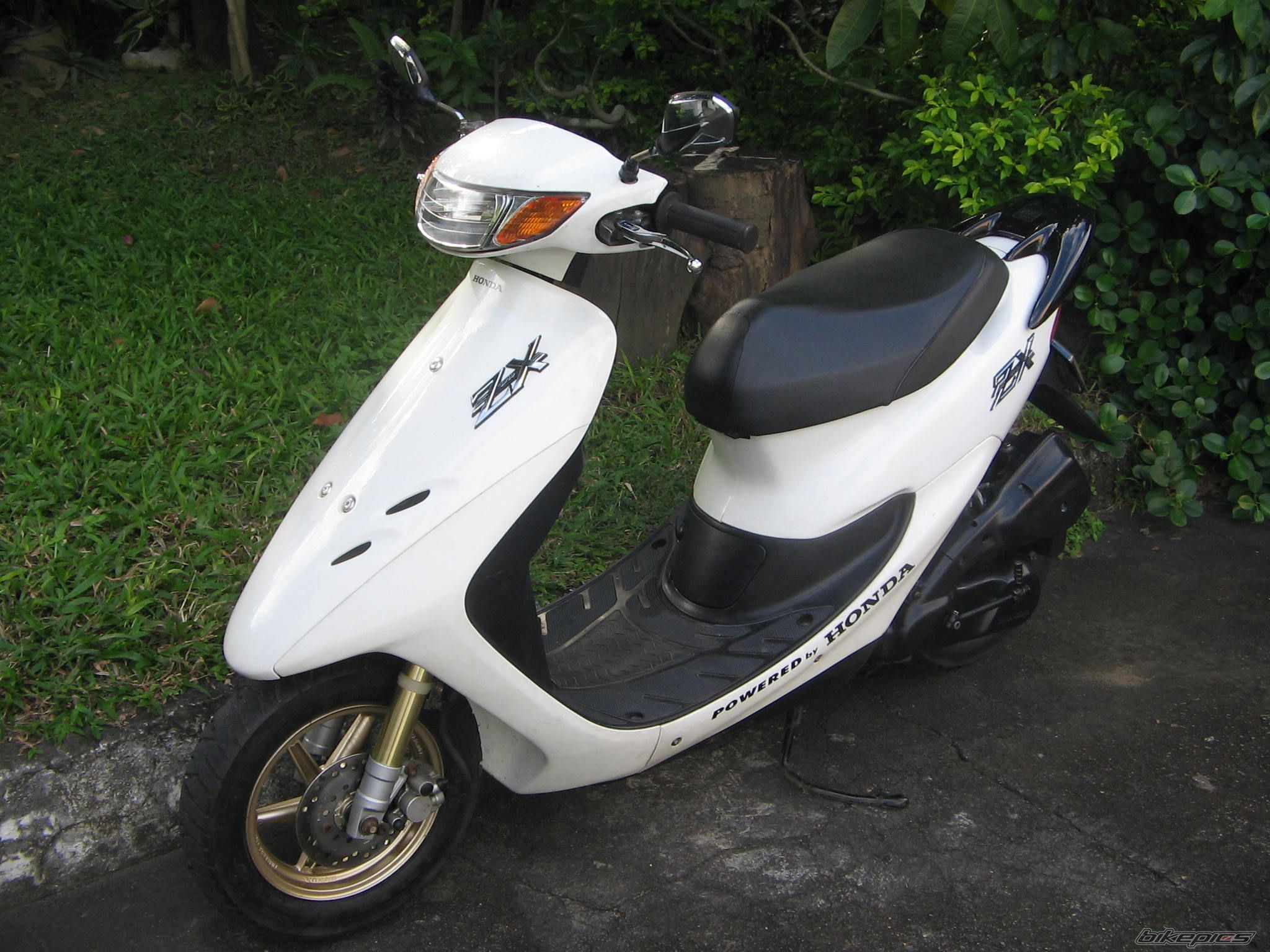 Photo 1523639