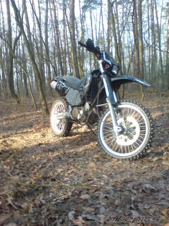 Photo 1523979