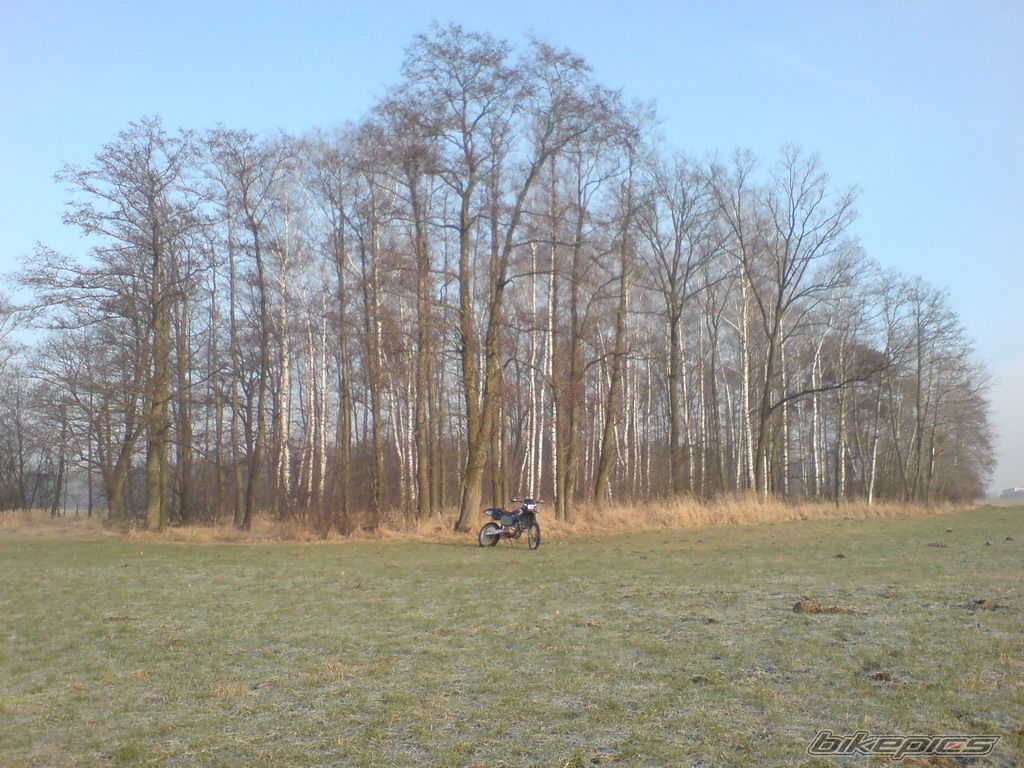 Photo 1523980
