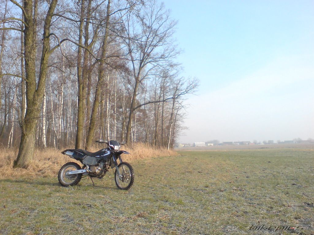 Bike Photo 1523981