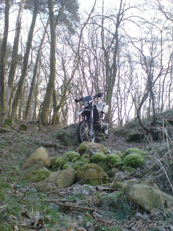 Photo 1523984