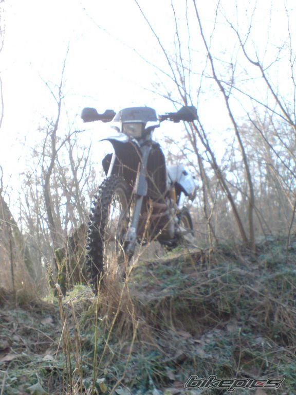 Photo 1523985