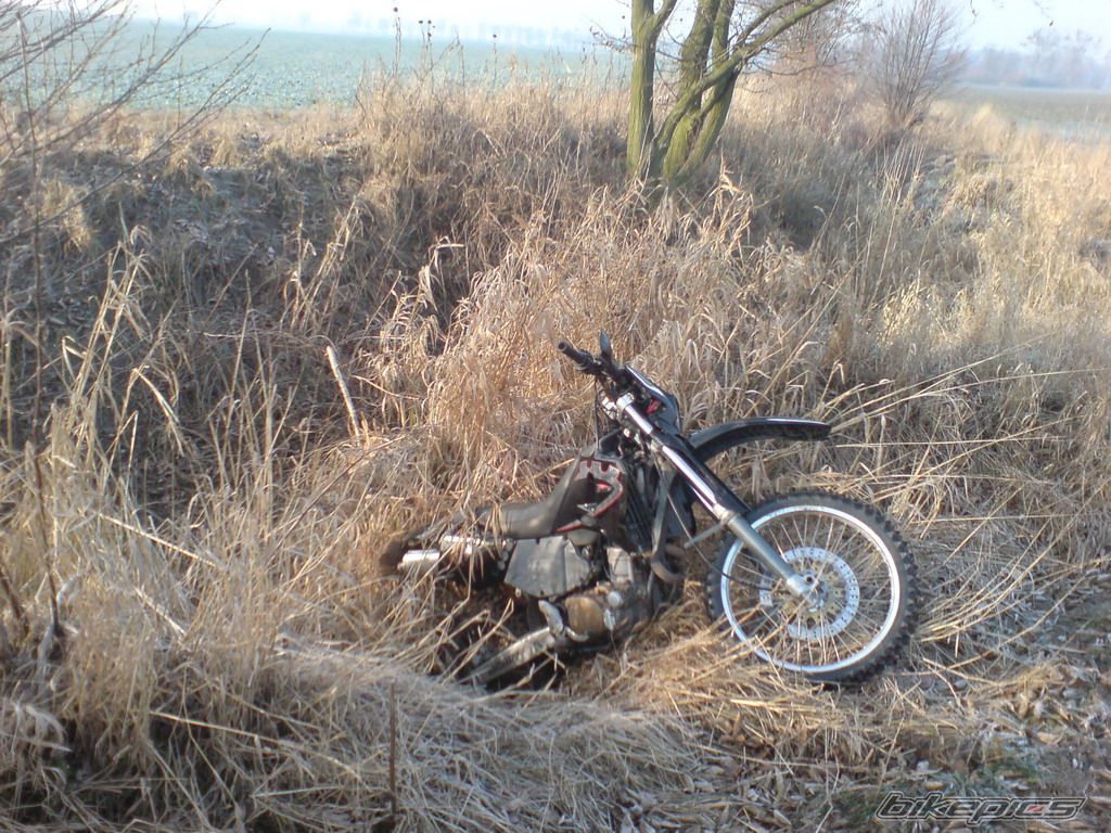 Photo 1523988