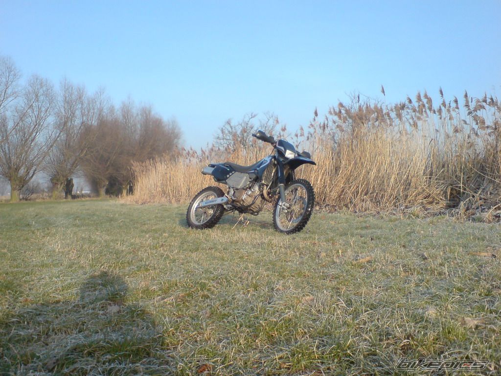 Photo 1523991