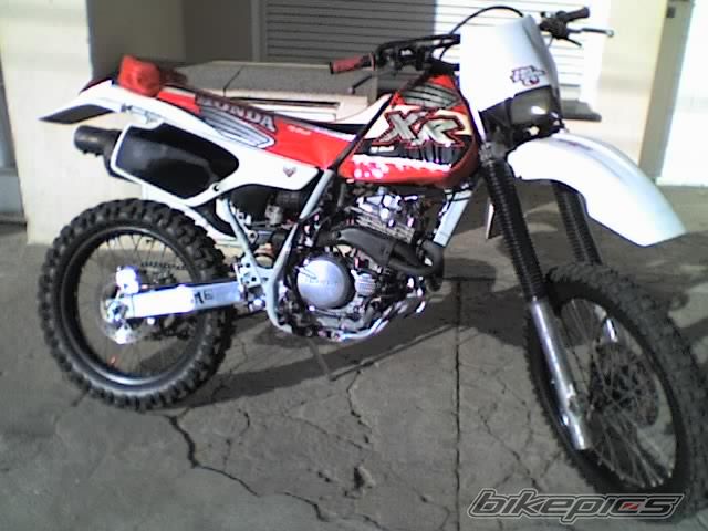 Photo 1524102