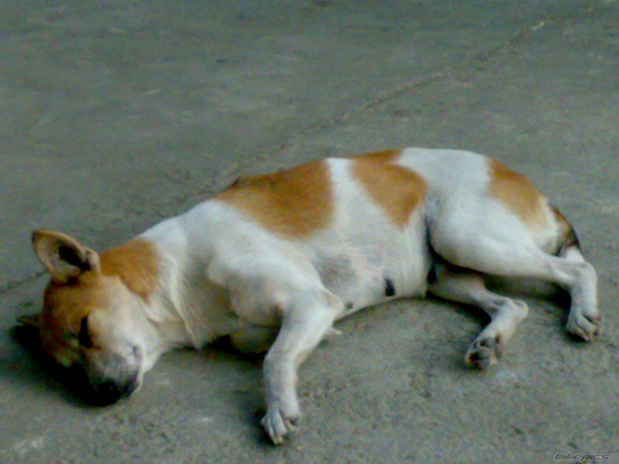 Photo 1524120