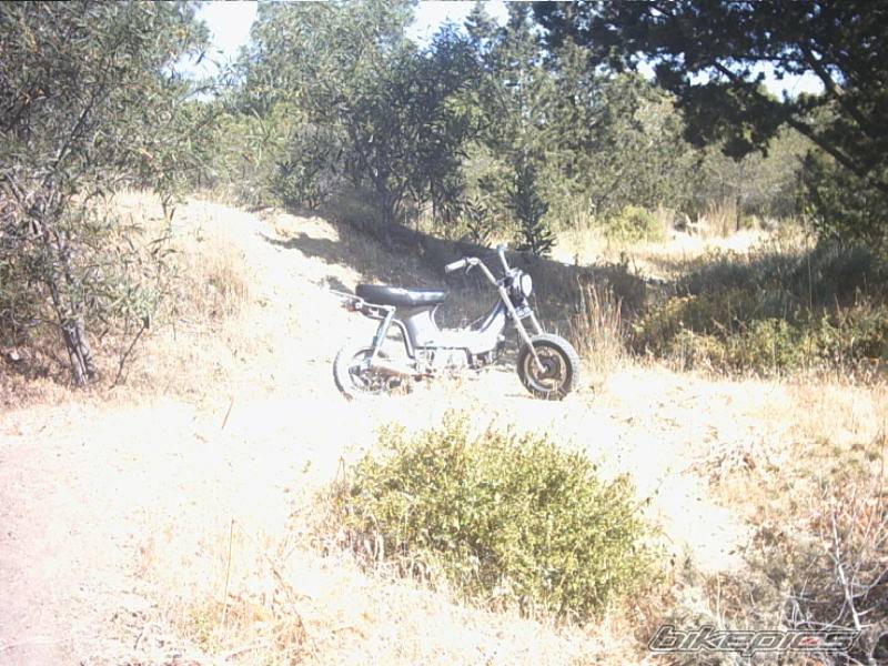 Bike Photo 152416