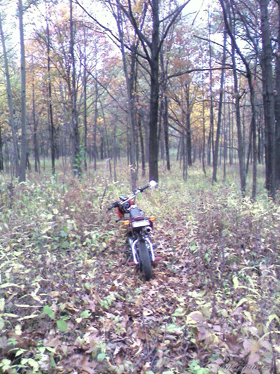 Photo 1524249
