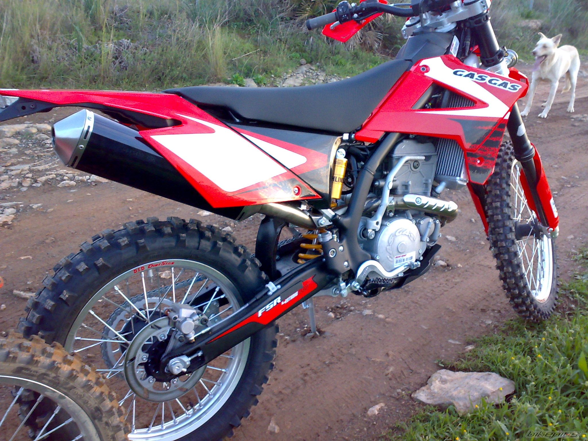 Photo 1524376
