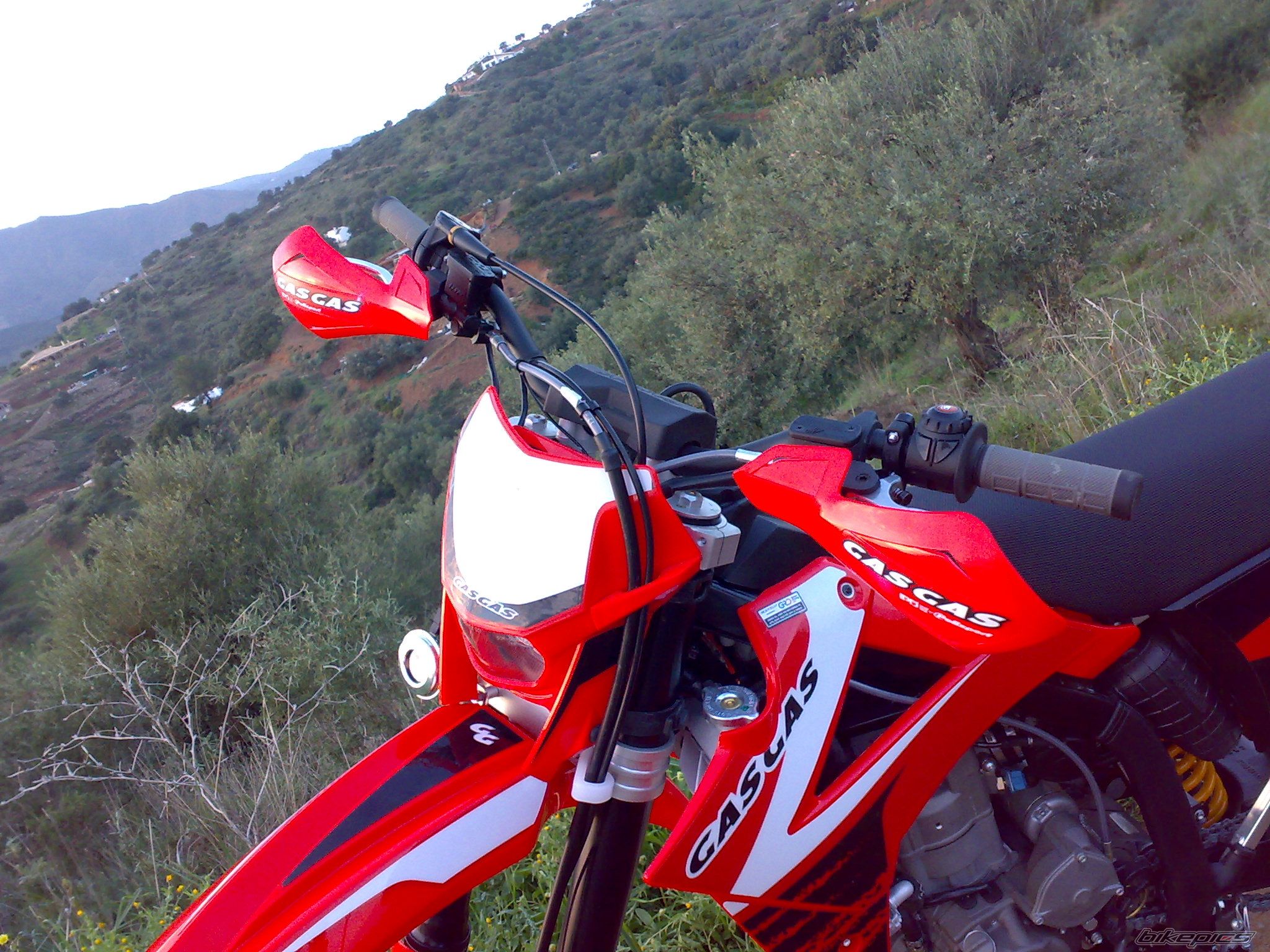 Photo 1524396