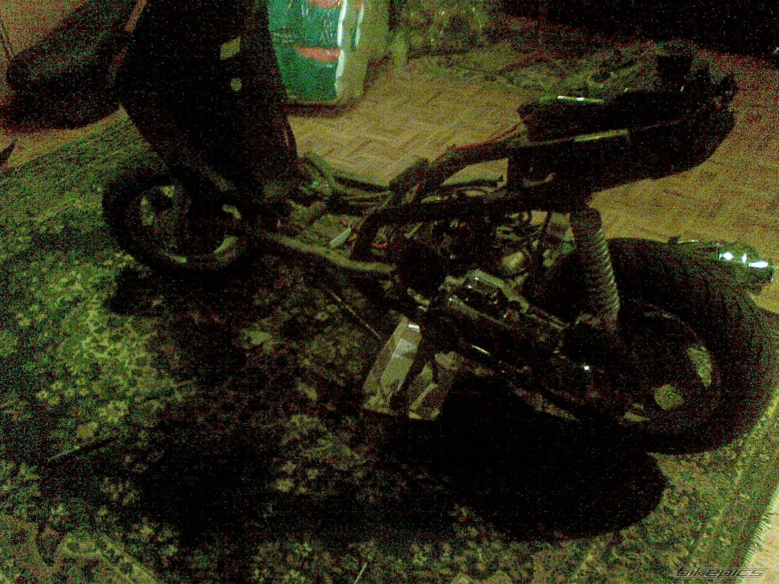 Photo 1524477