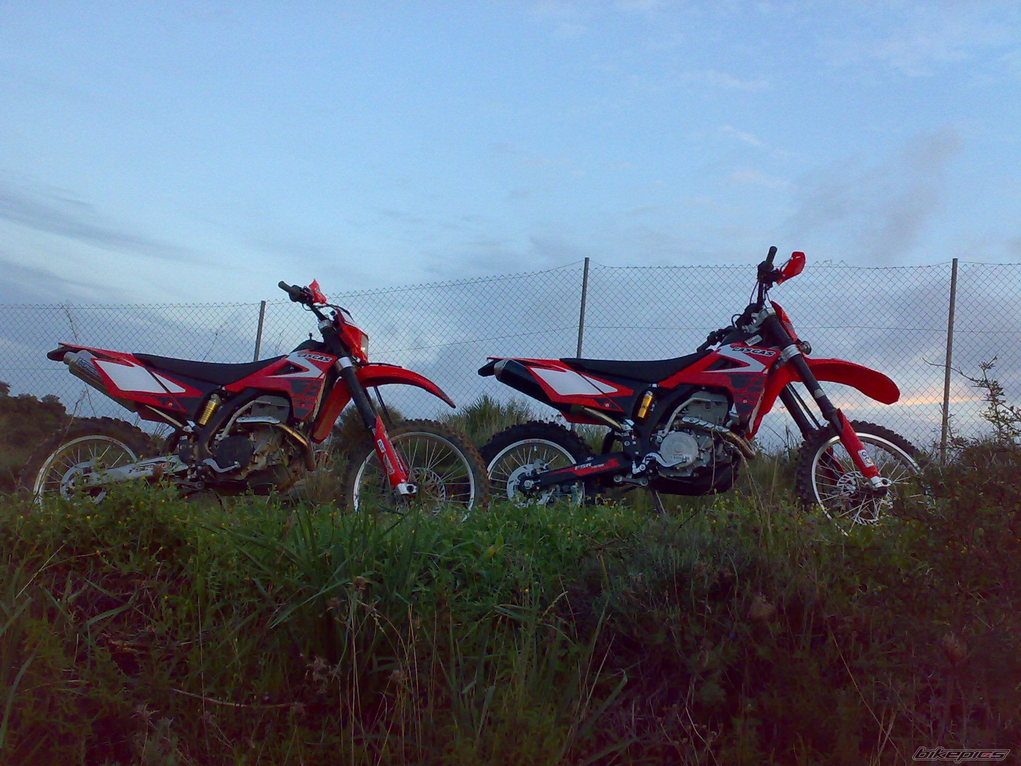 Photo 1524521
