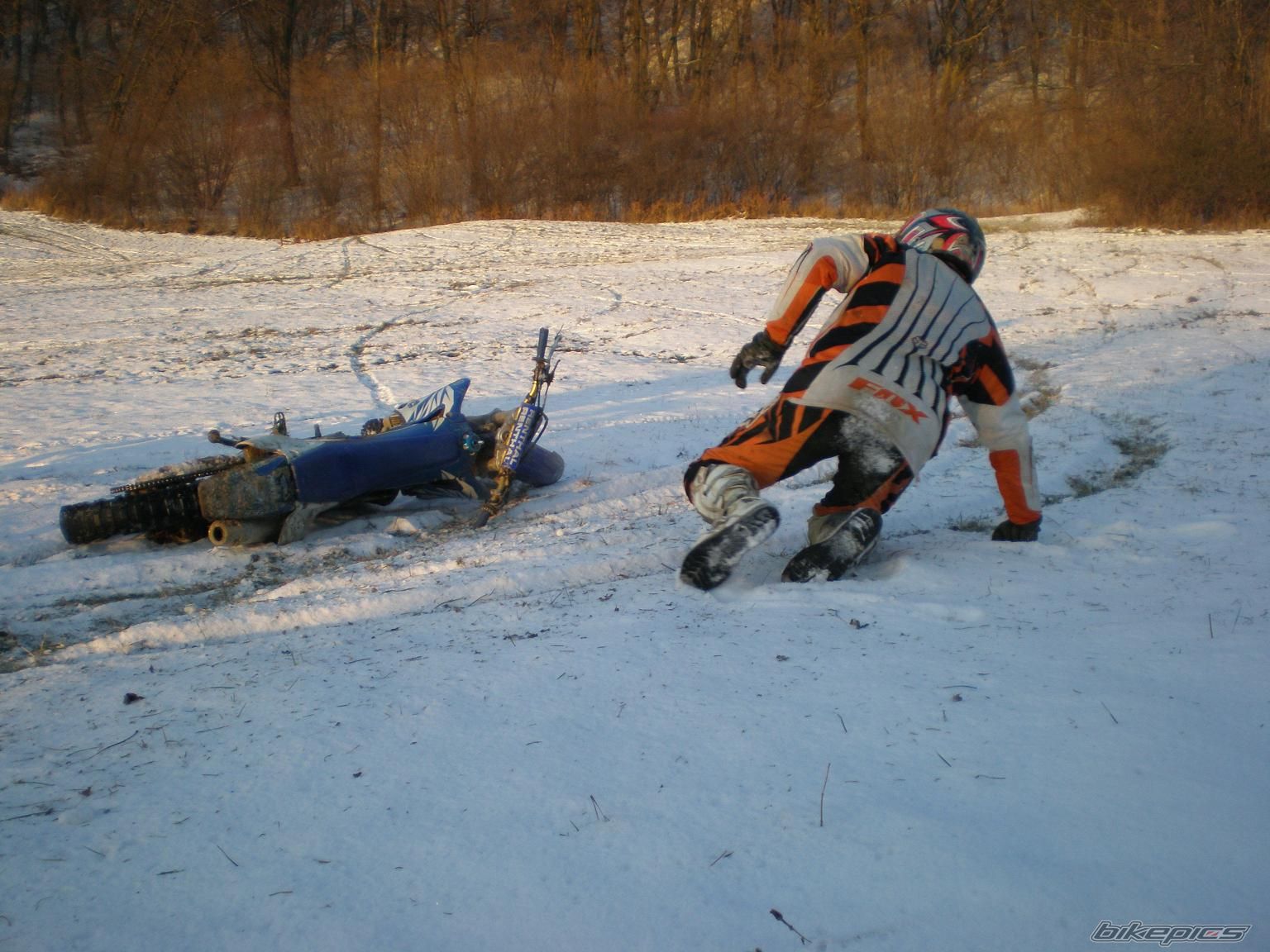 Photo 1524590
