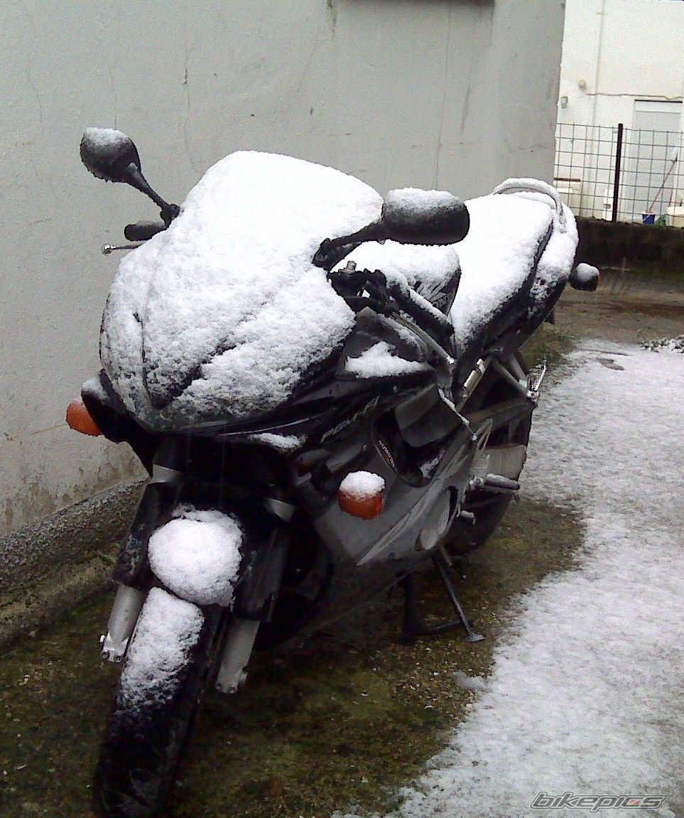 Photo 1524695