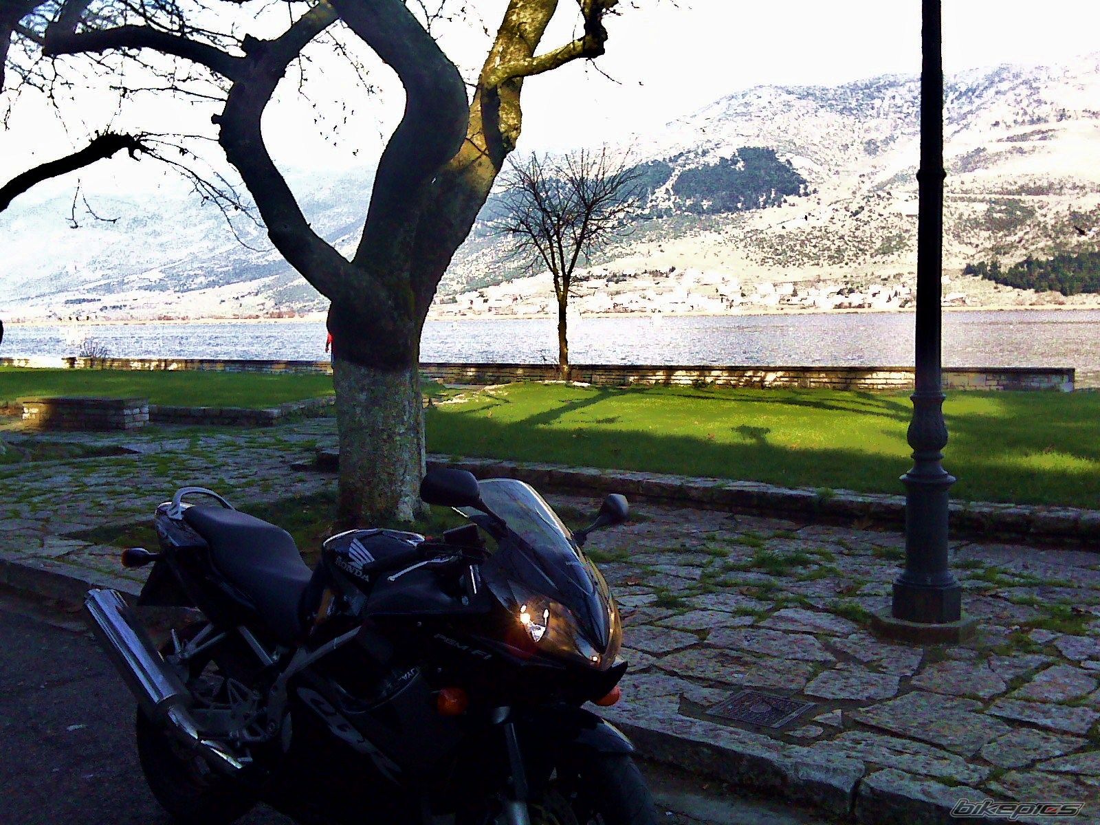 Photo 1524699