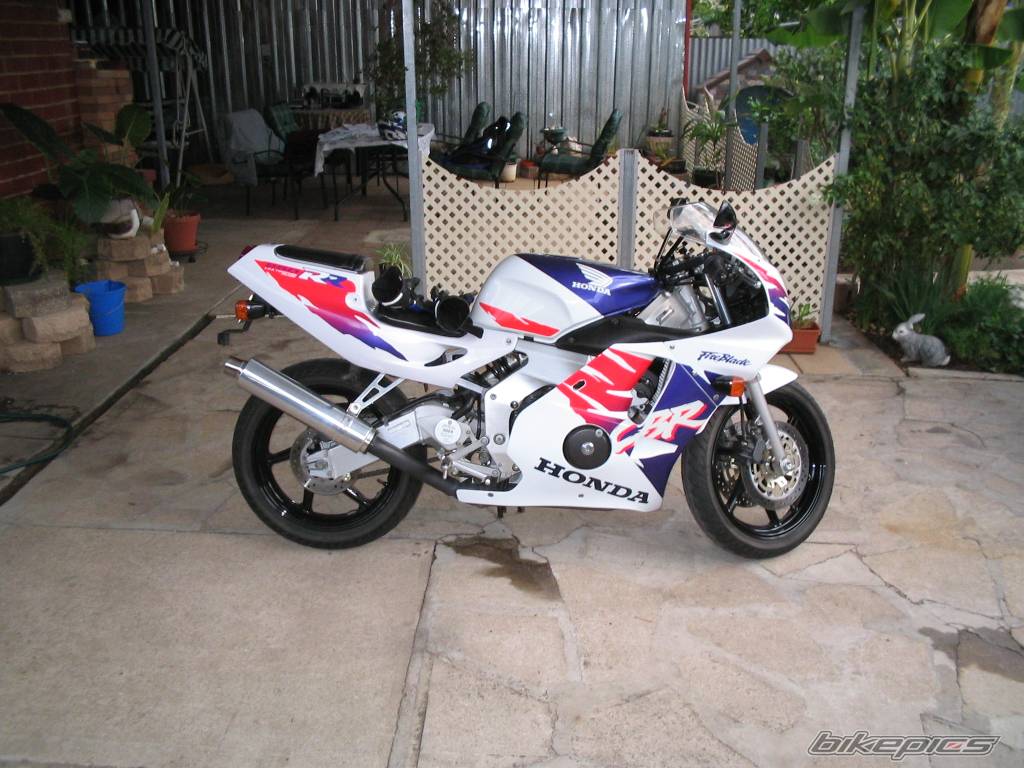 Photo 152482