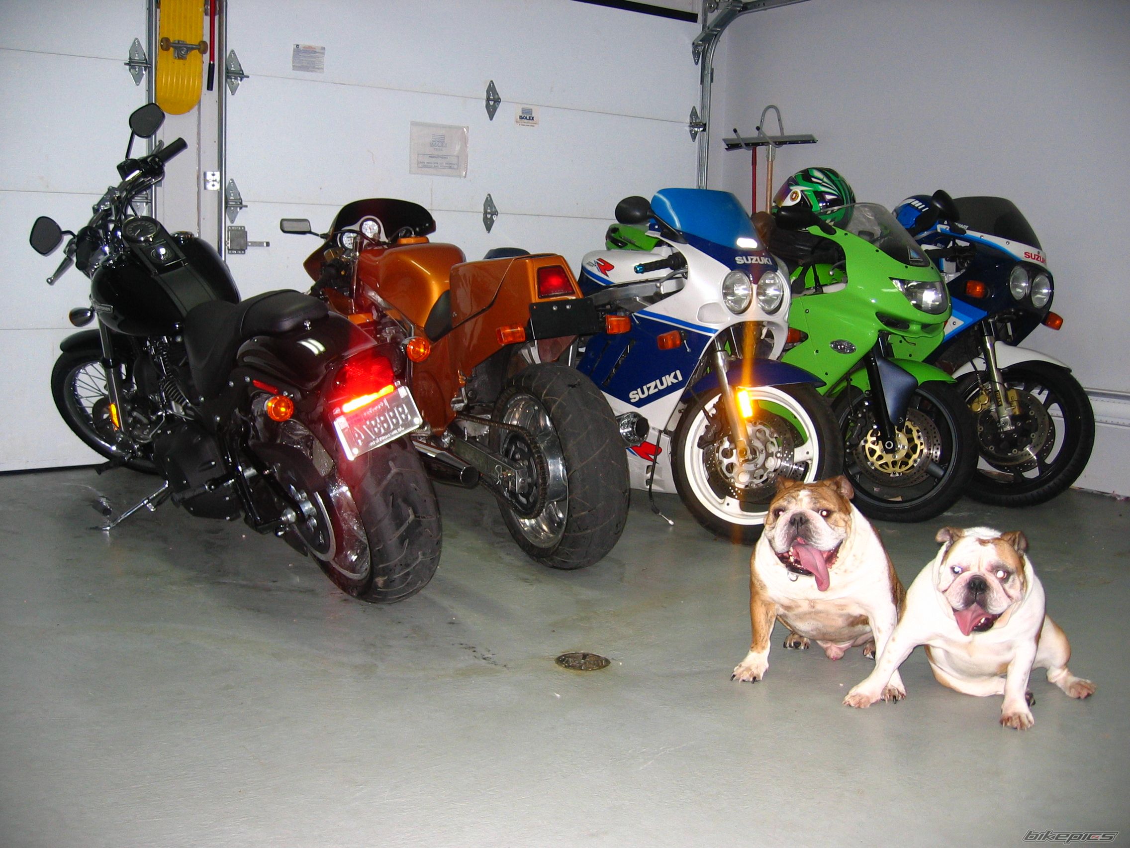 Photo 1524842