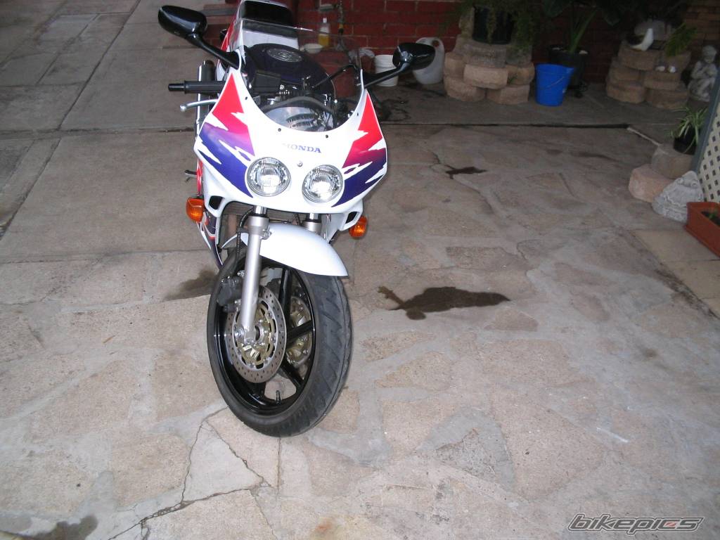 Photo 152488