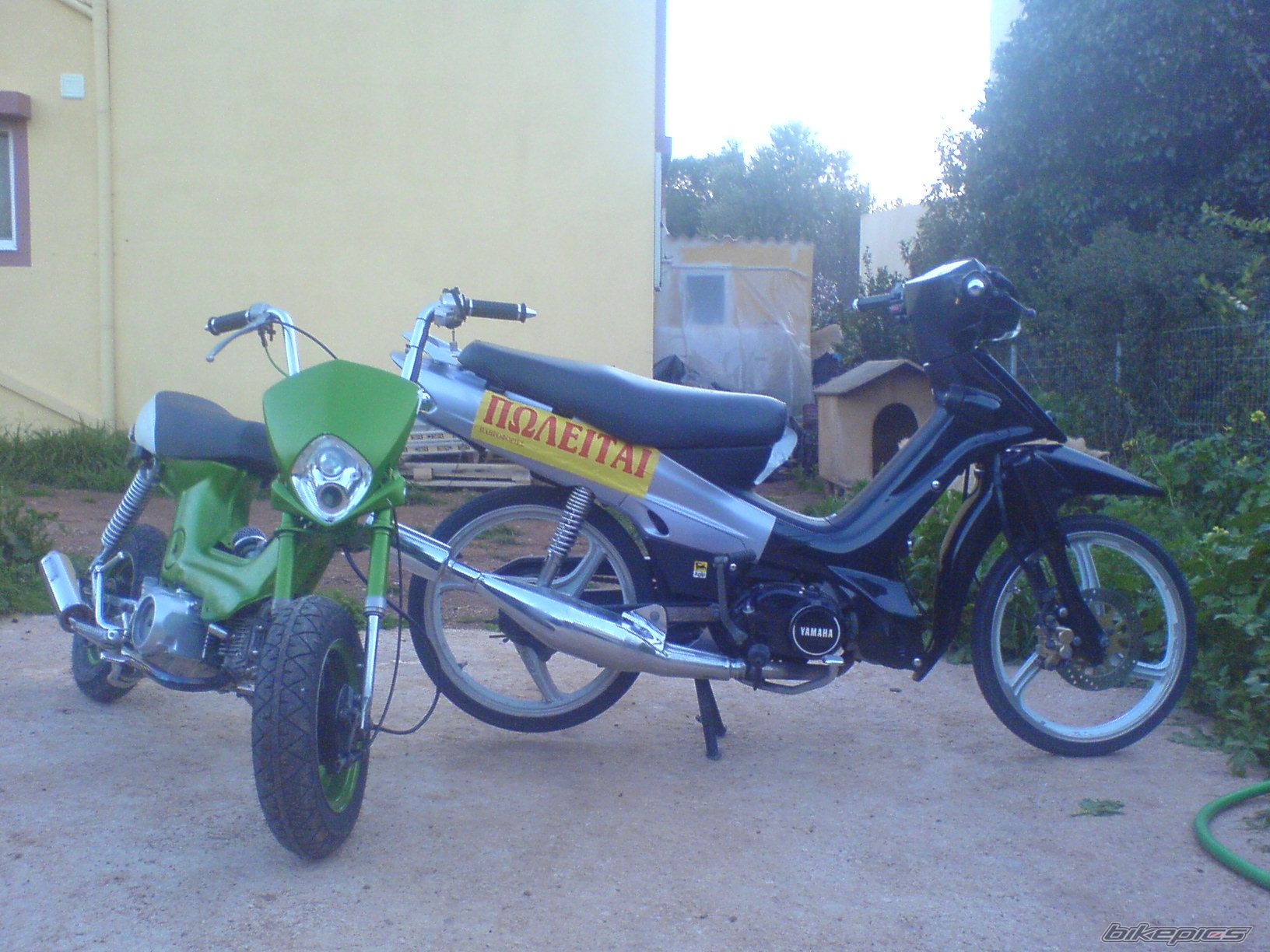 Photo 1525448