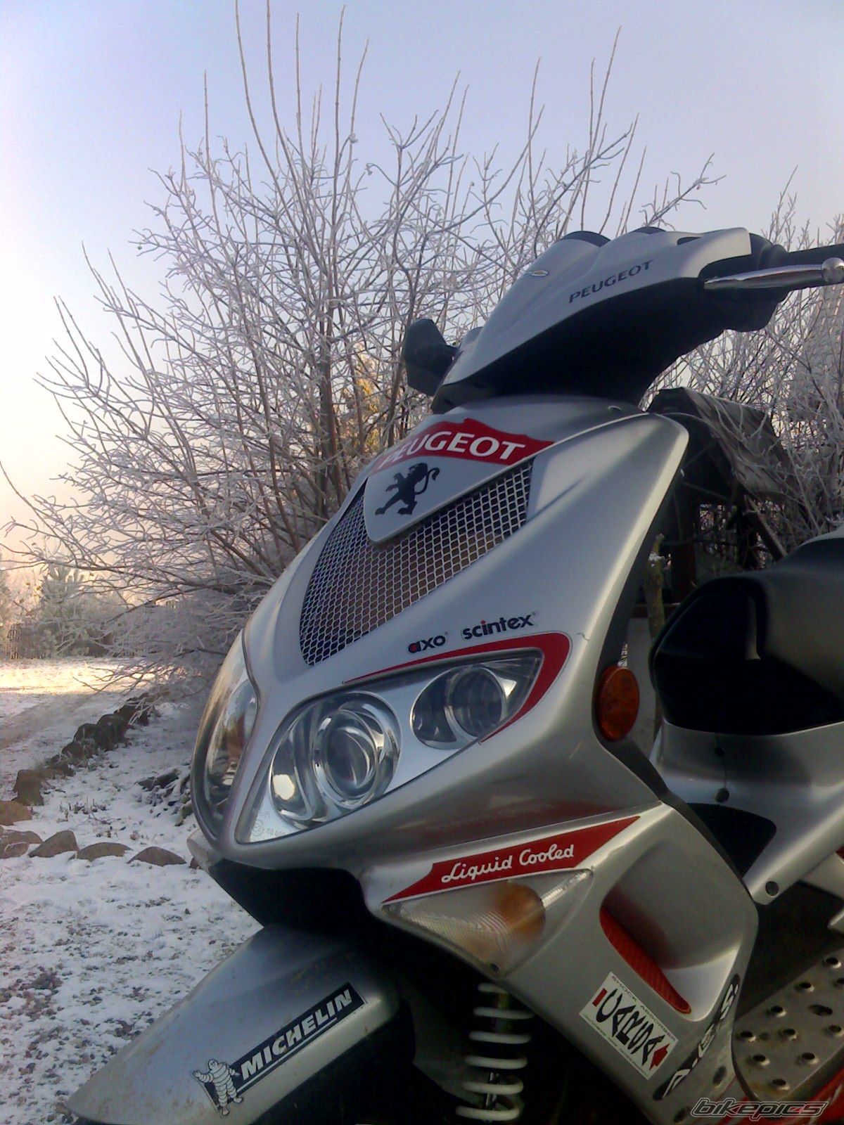 Photo 1525457