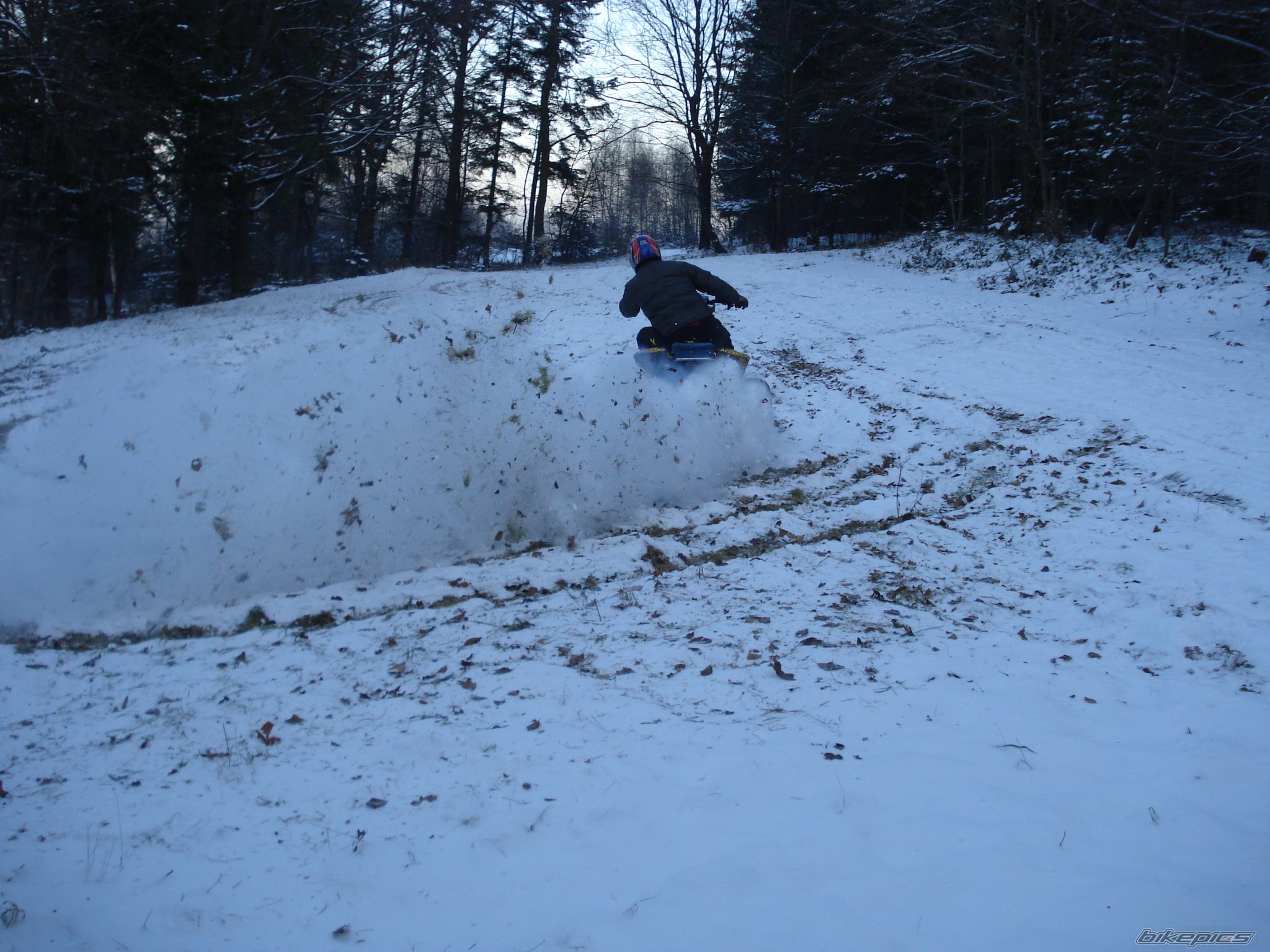 Photo 1525484