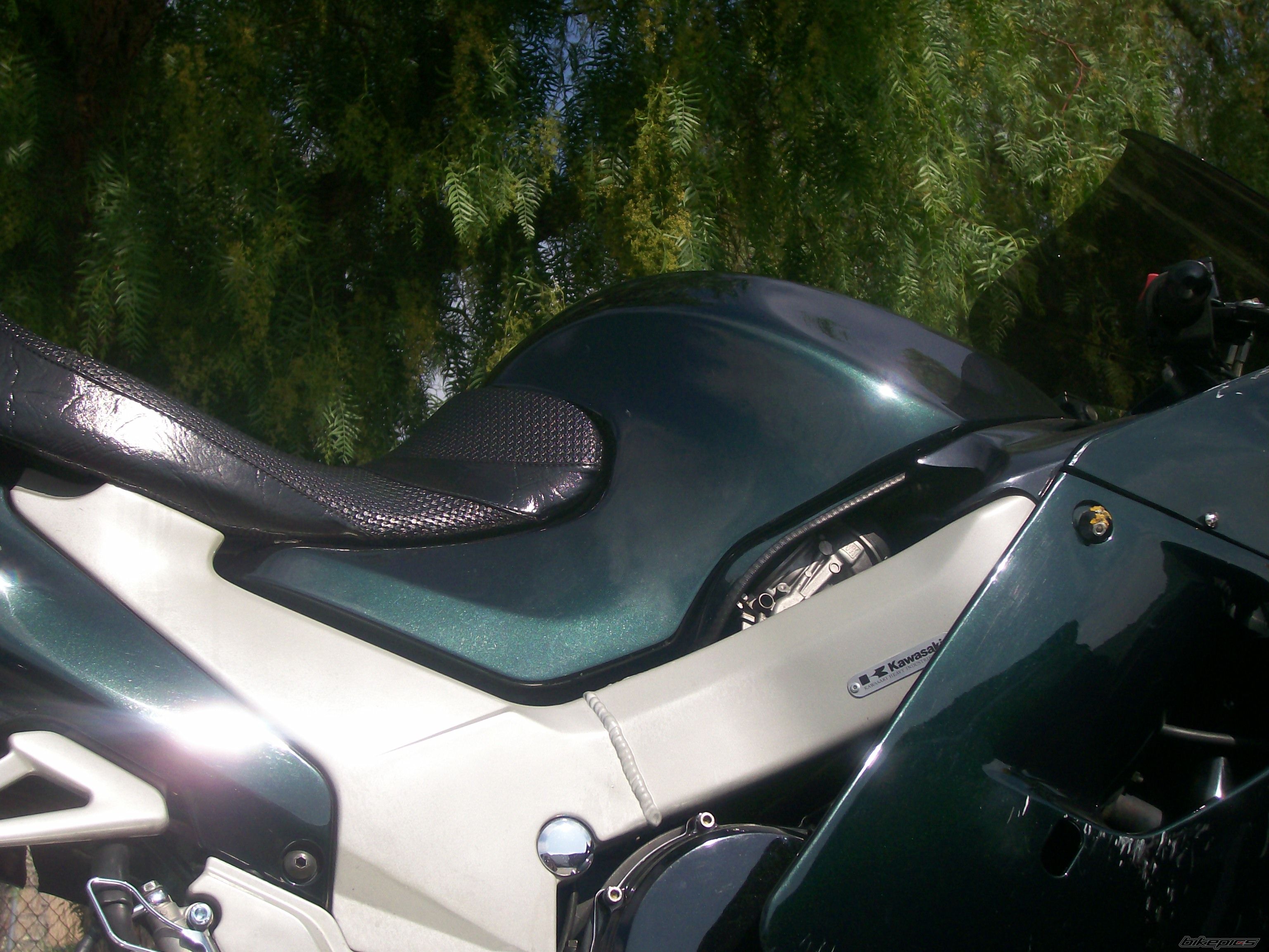 Photo 1525716