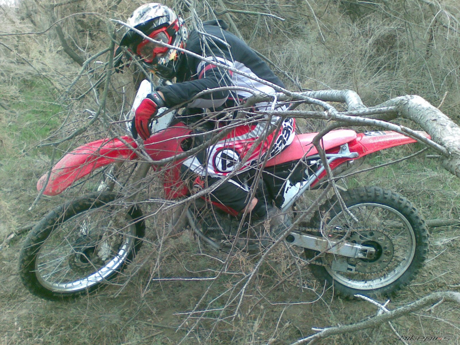 Photo 1525745