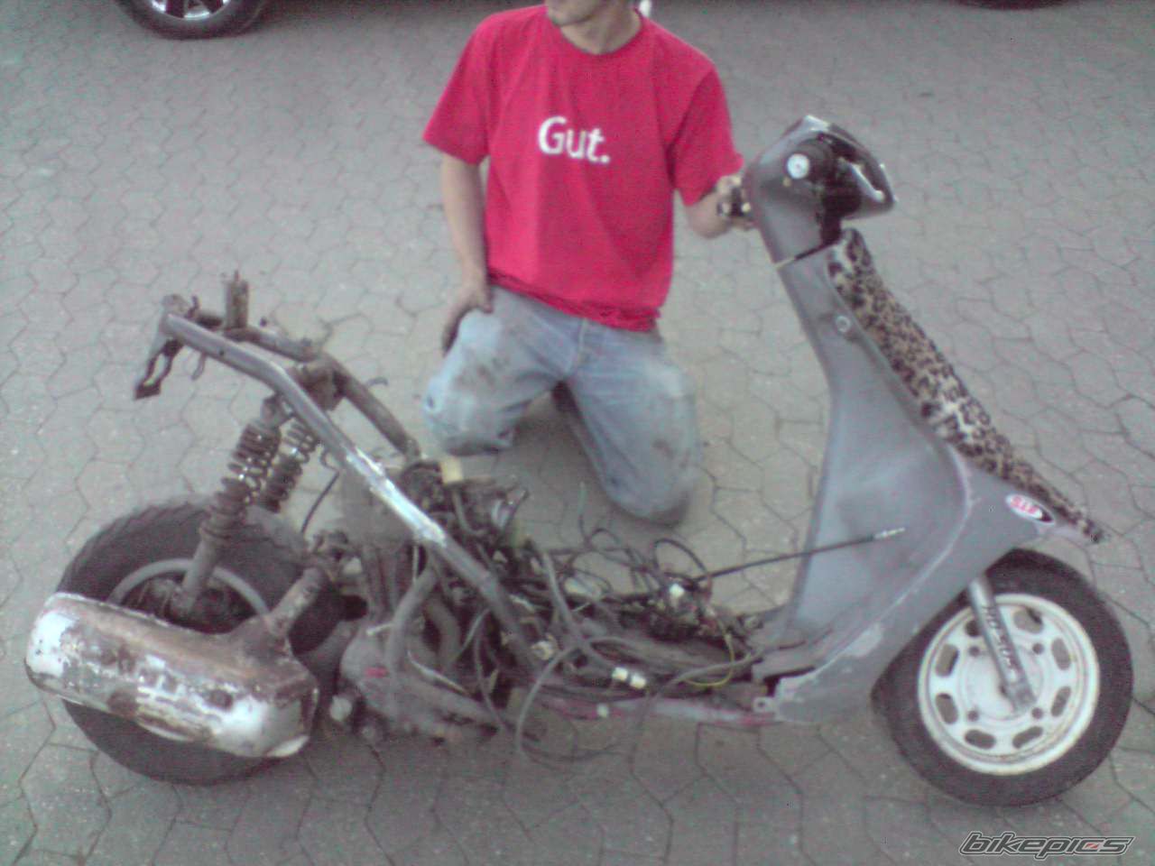 Bike Photo 1525794