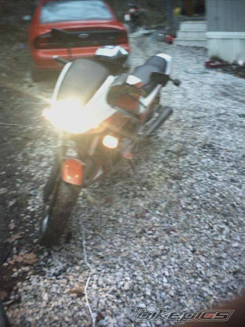 Photo 15258
