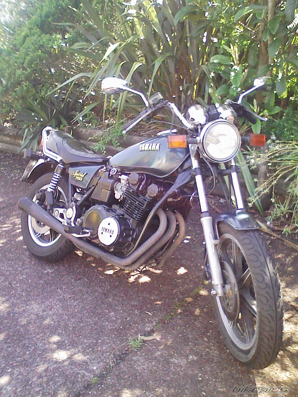 Photo 1525825