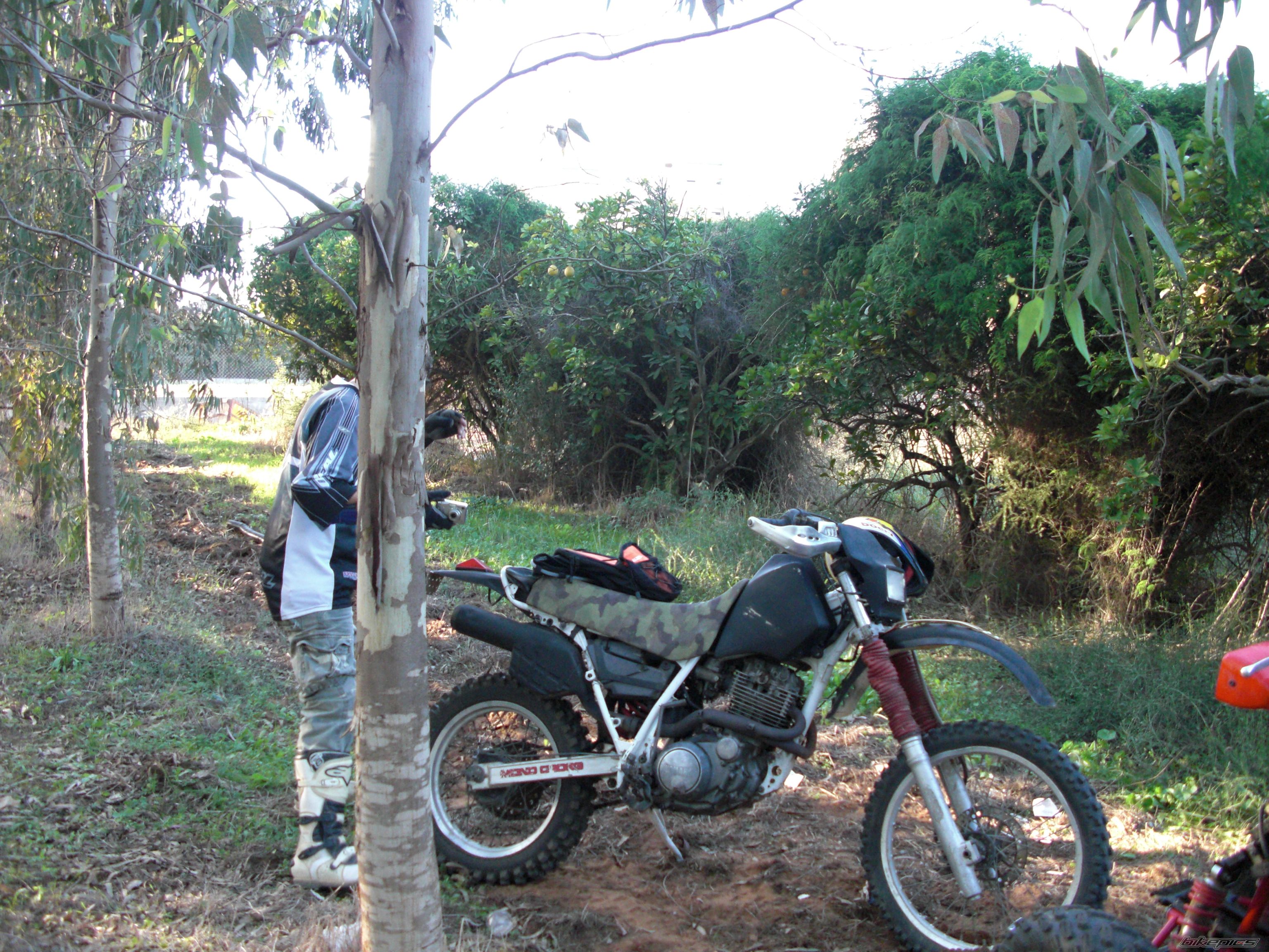 Bike Photo 1525826