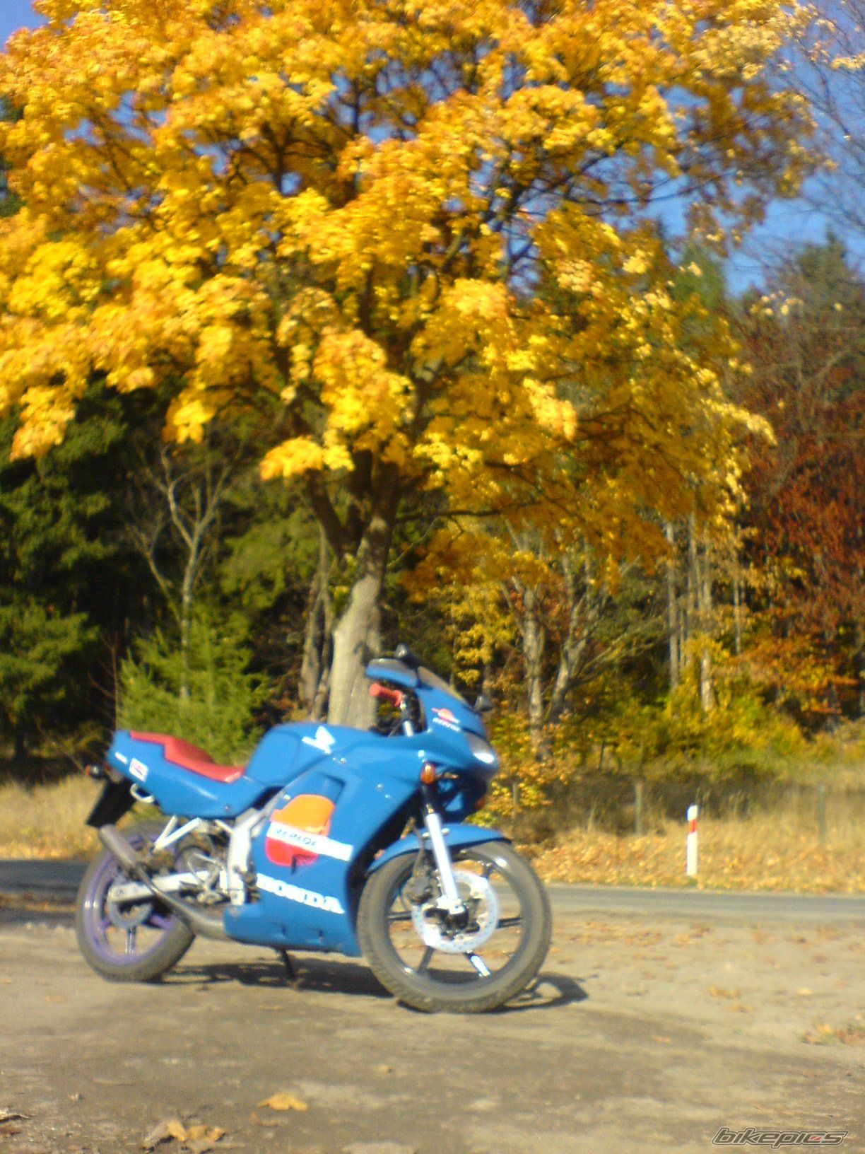 Bike Photo 1525943