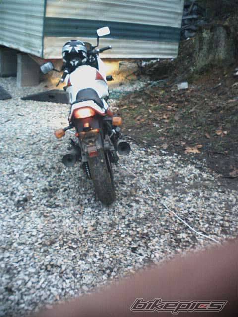 Photo 15260