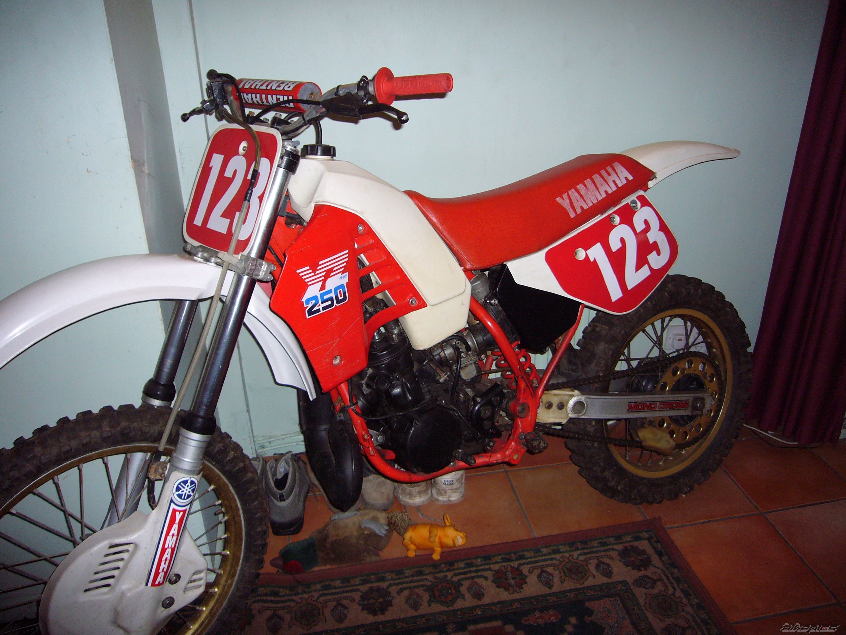 Photo 1526216