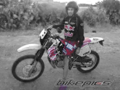 Photo 1526342