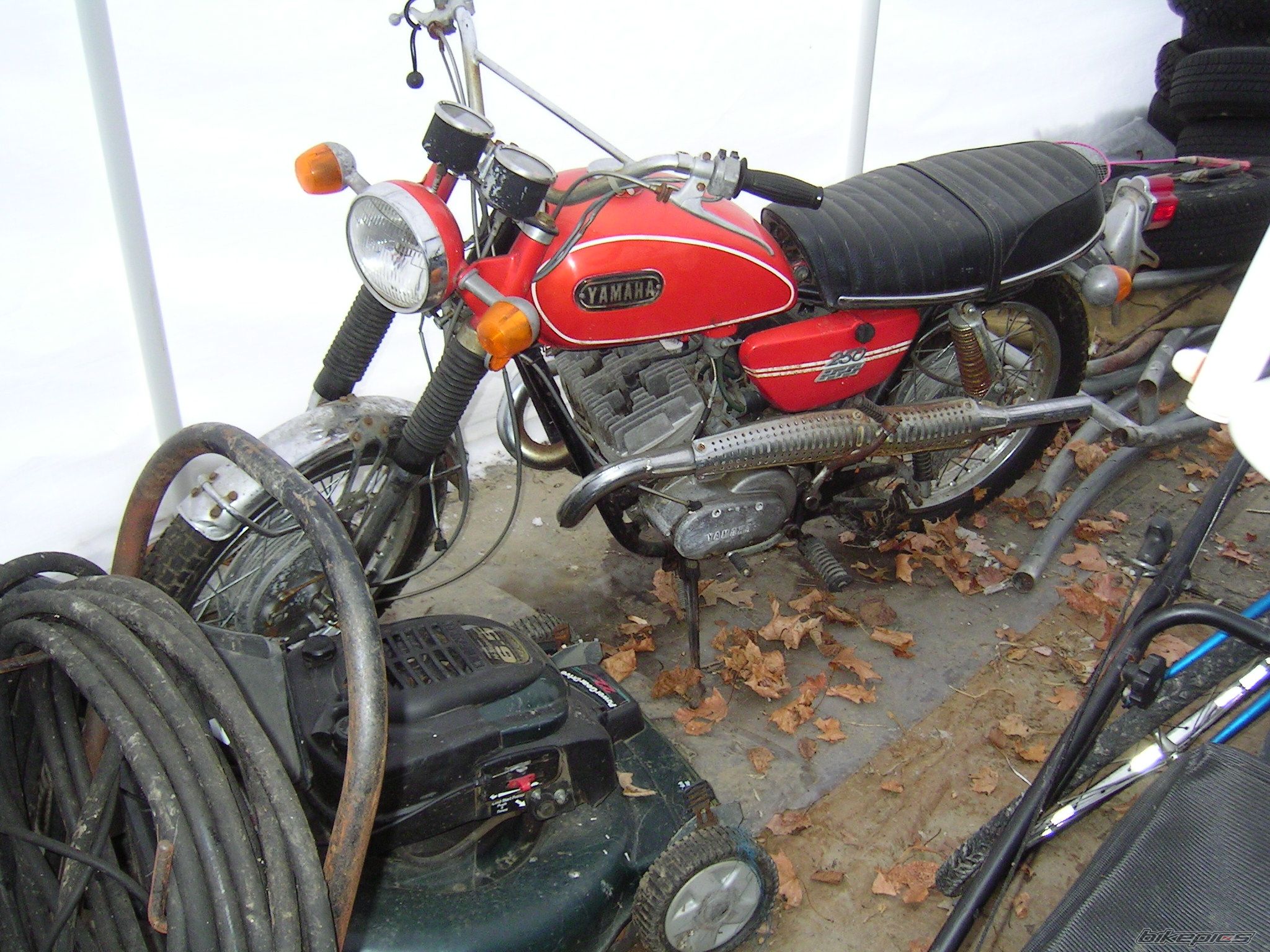 Photo 1526409
