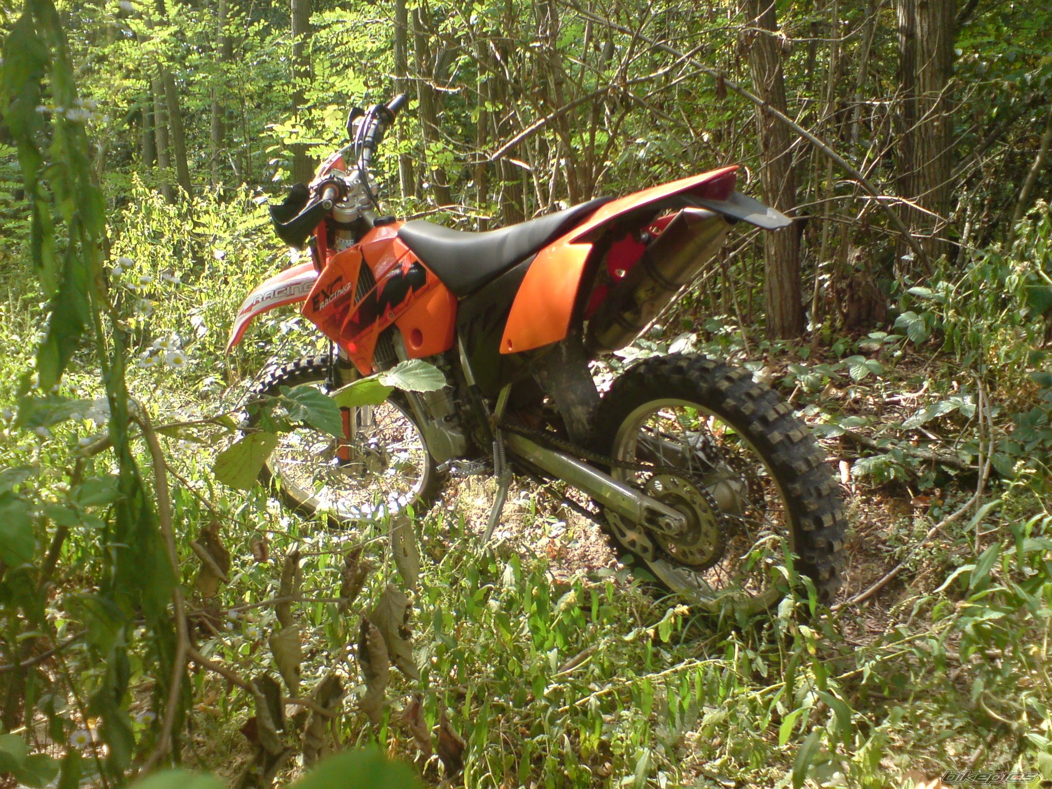 Photo 1526443