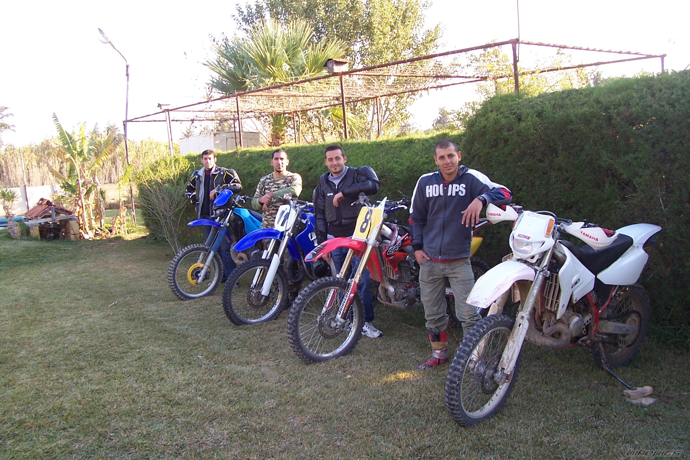 Photo 1526493