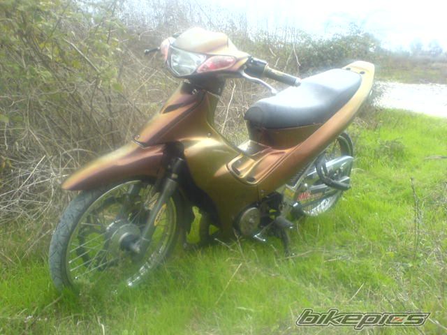 Photo 1526534