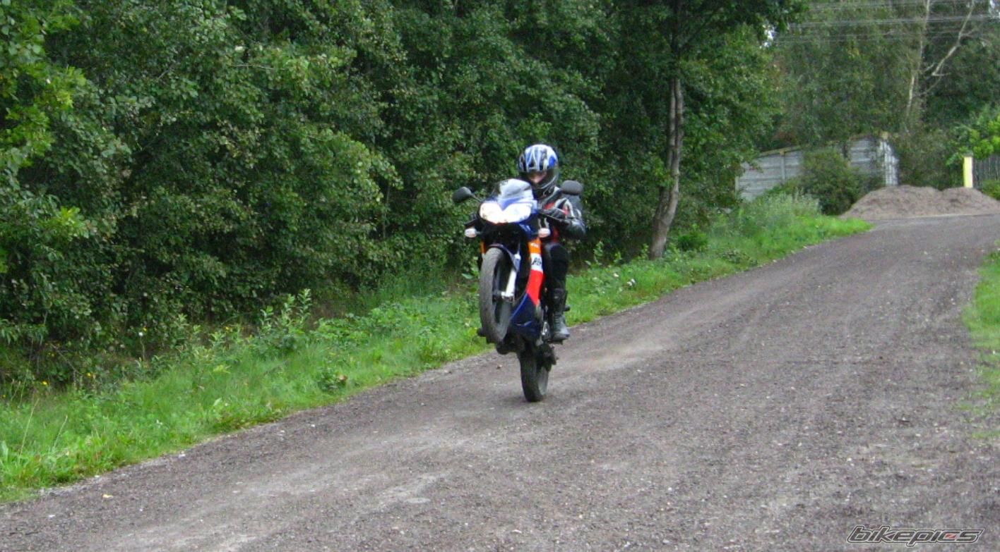 Photo 1526570