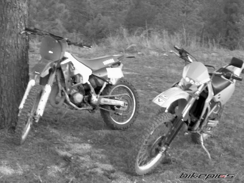 Photo 1526574