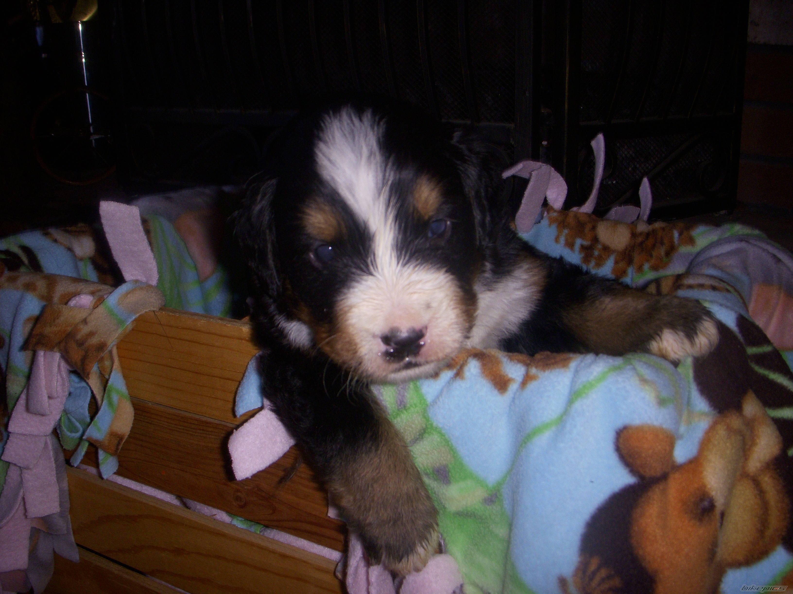 Photo 1526580