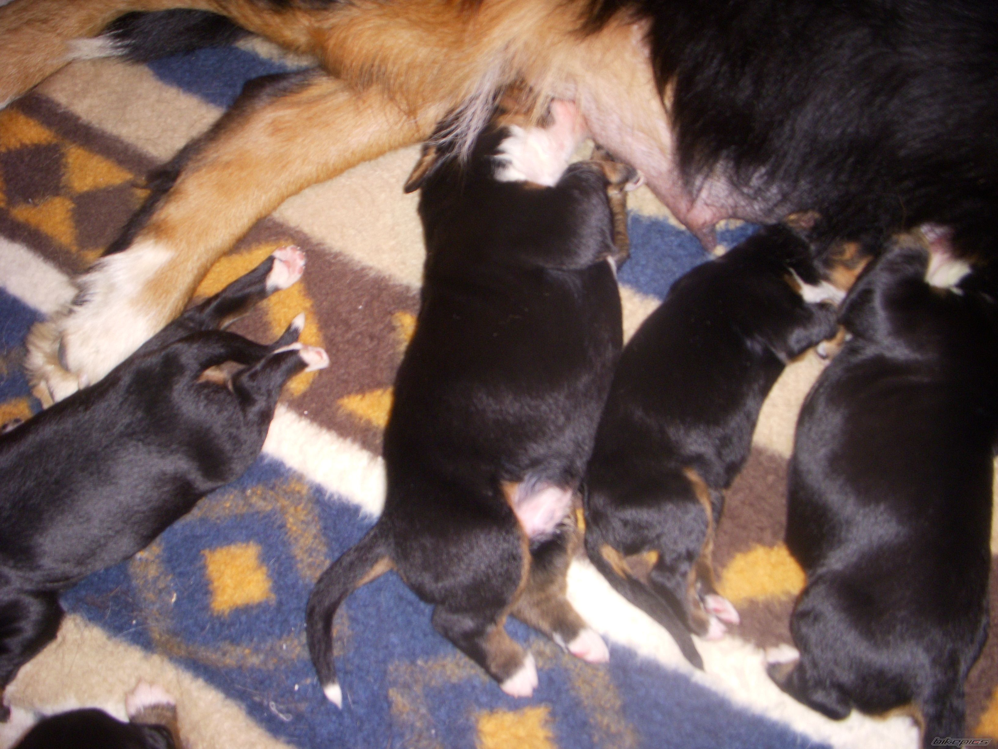 Photo 1526604