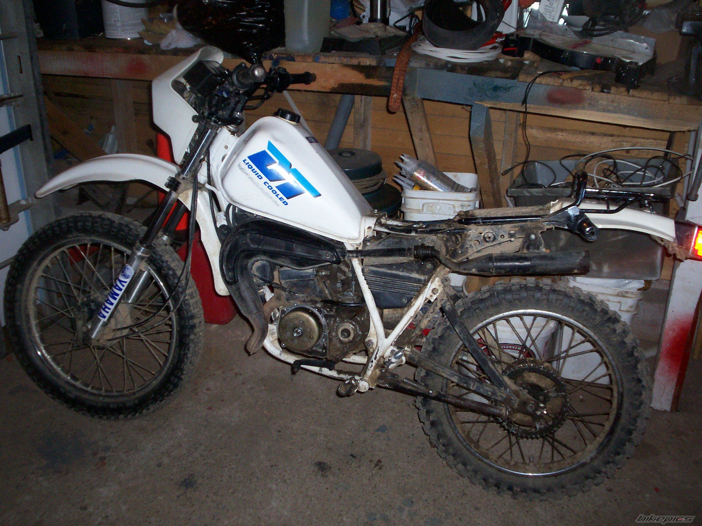Photo 1526719