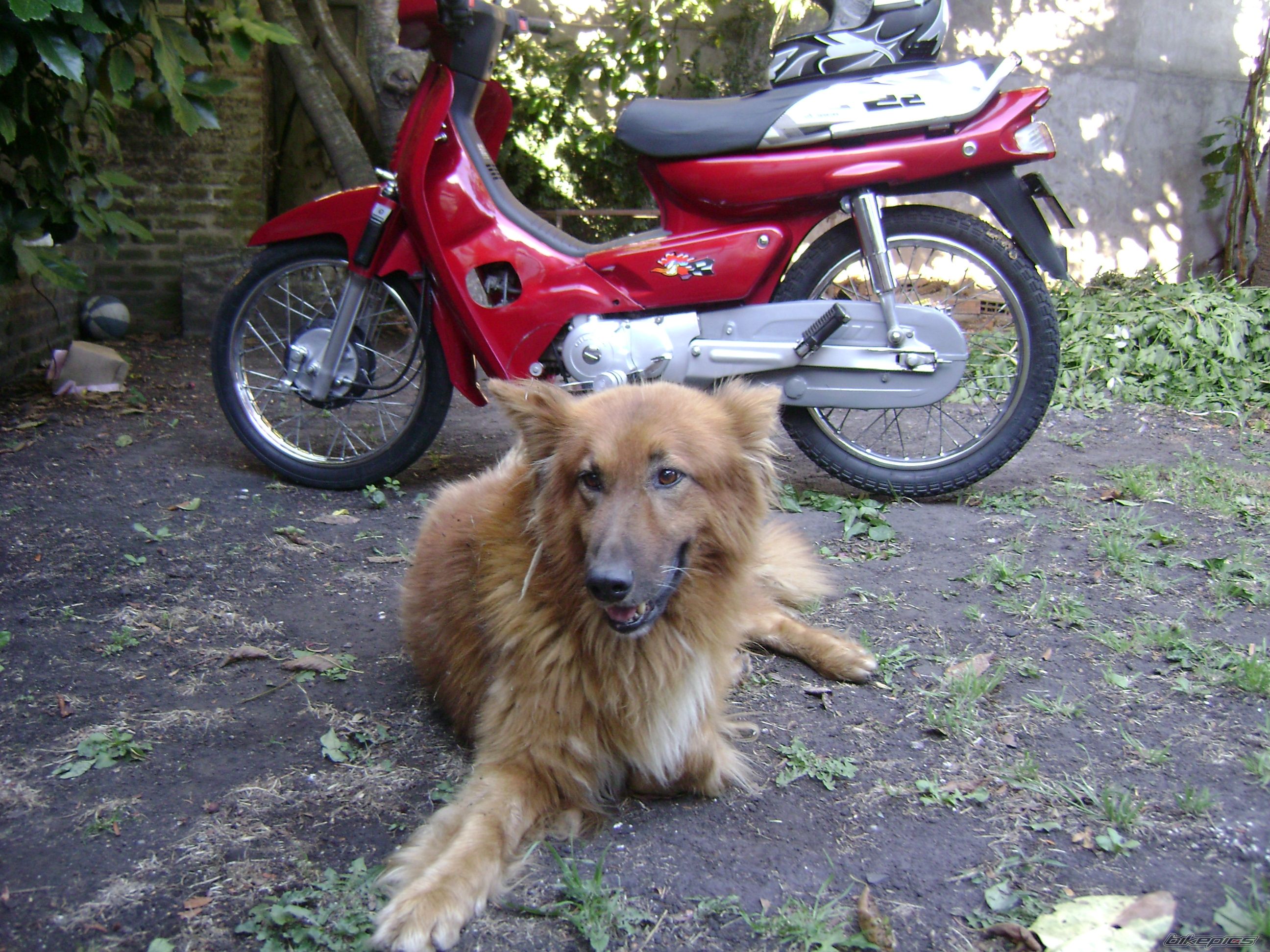 Photo 1526830