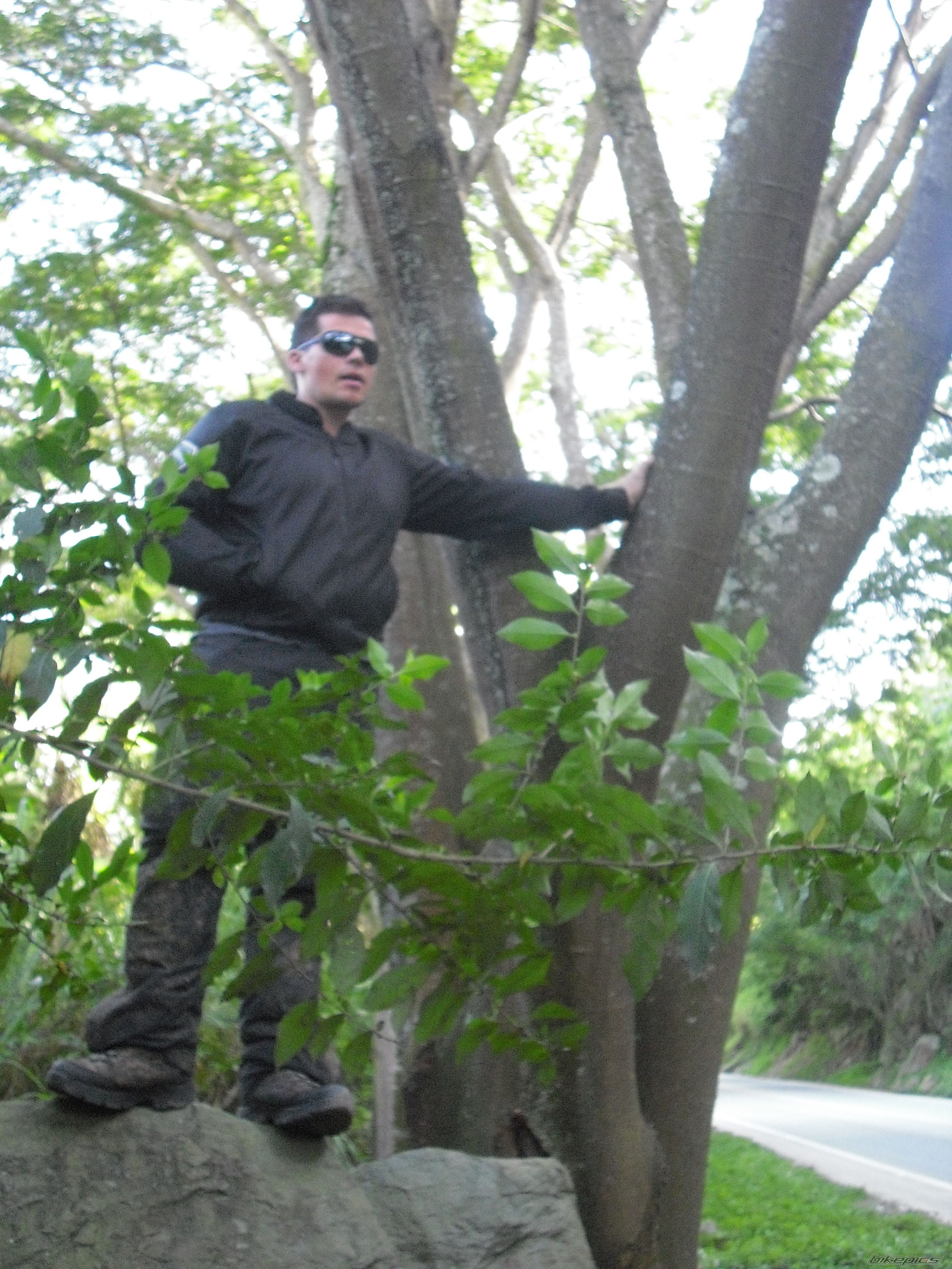 Photo 1526889